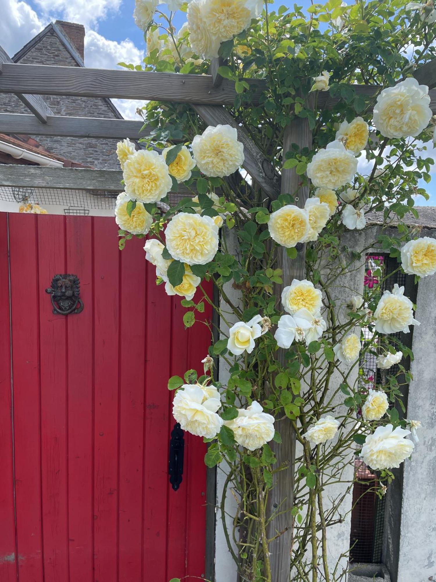 Delightful French Rustic Studio Jumilhac-le-Grand Extérieur photo
